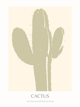 Cactus - 05