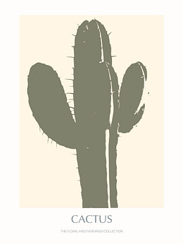 Cactus - 05