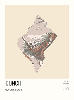 Conch - 05