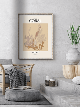Coral - 07