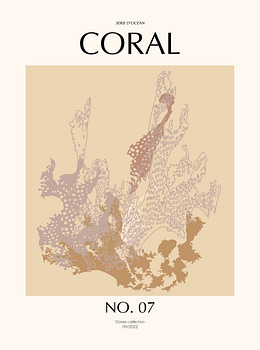 Coral - 07