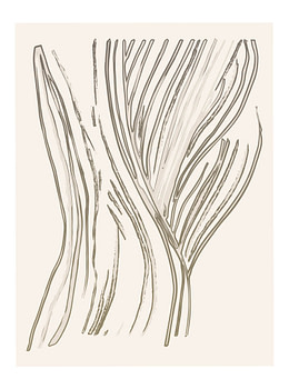 Lines - 04