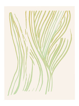 Lines - 04
