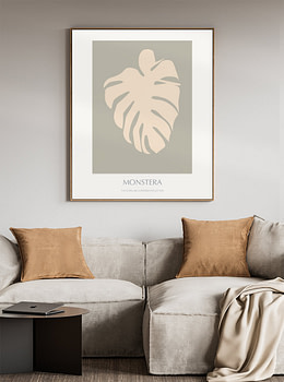 Monstera - 02
