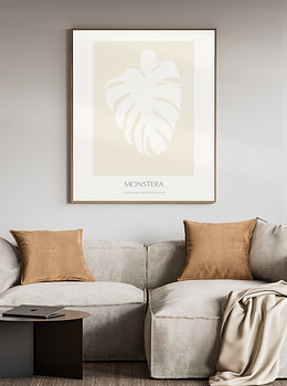 Monstera - 02