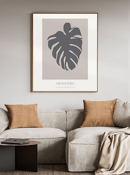 Monstera - 02