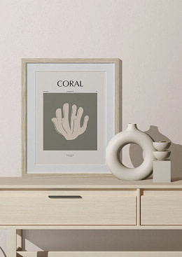 Coral - 02