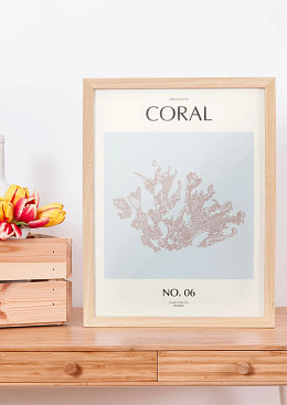 Coral - 06