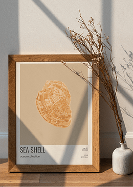 Sea shell - 03