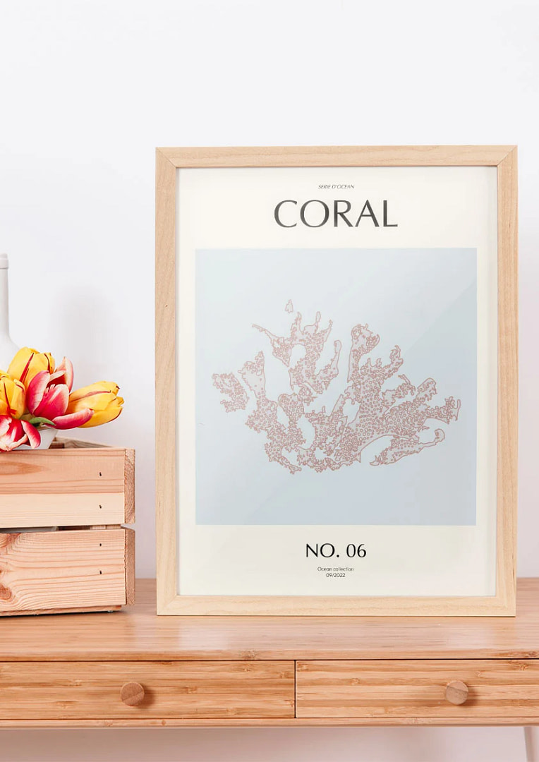Coral - 06 - Billede 2
