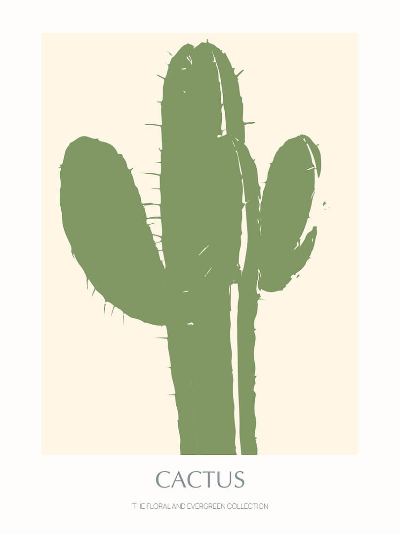 Cactus - 05